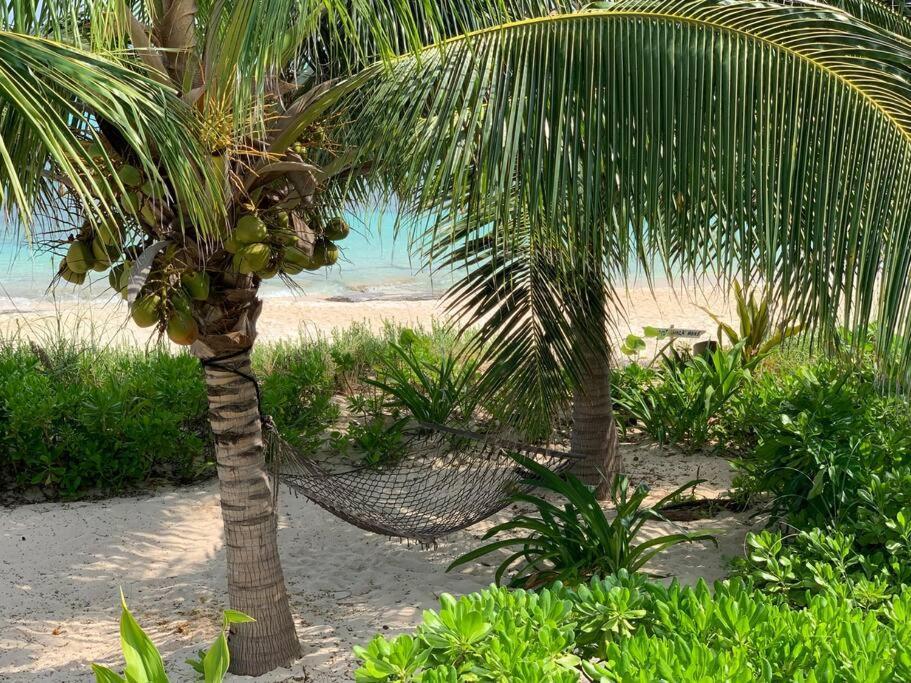 Beach'Nbarefoot Nassau Dış mekan fotoğraf